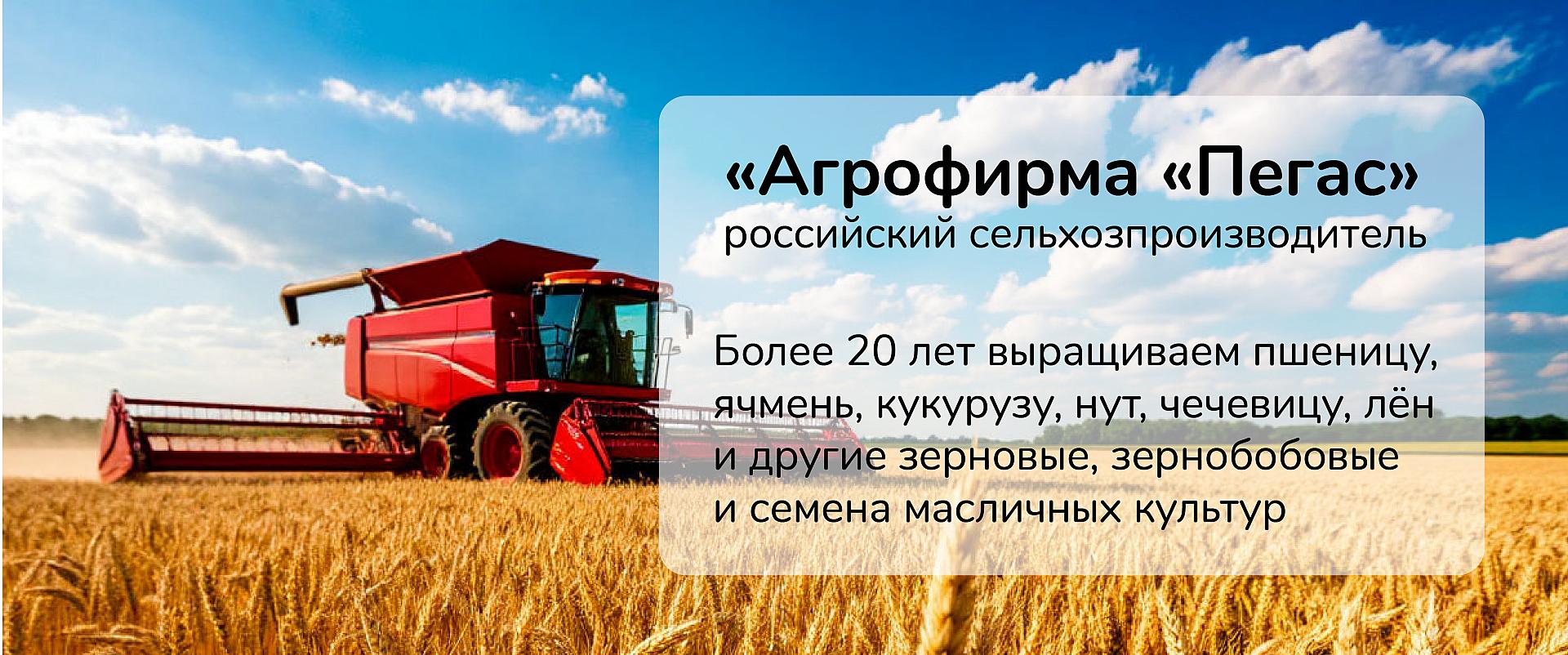 Главный агроном